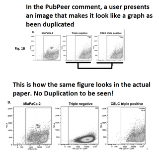 Illustration for article titled The Case Against PubPeer